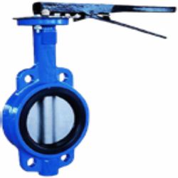 Concentric Butterfly Valve