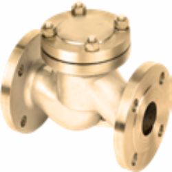 Lift Check Valve